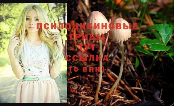 кокс Арсеньев