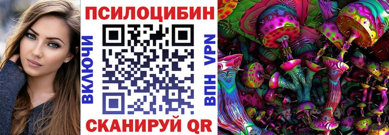хочу Ишим Галлюциногенные грибы Magic Shrooms
