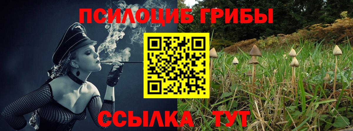Псилоцибиновые грибы мицелий  Вход с VPN  Ишим  закладка  Галлюциногенные грибы прущие грибы 